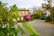 Ростов-на-Дону