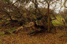 Родник у Раздорских склонов между Каныгиным и Раздорской
