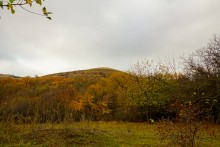 Родник у Раздорских склонов между Каныгиным и Раздорской