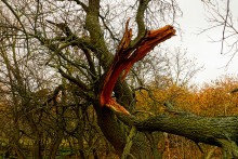 Родник у Раздорских склонов между Каныгиным и Раздорской