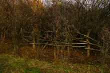 Родник у Раздорских склонов между Каныгиным и Раздорской