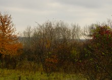 Родник у Раздорских склонов между Каныгиным и Раздорской