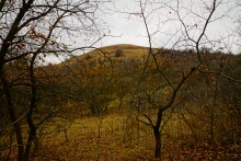 Родник у Раздорских склонов между Каныгиным и Раздорской