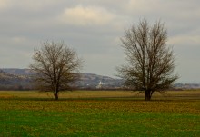 Родник у Раздорских склонов между Каныгиным и Раздорской