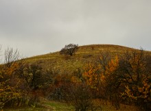 Родник у Раздорских склонов между Каныгиным и Раздорской