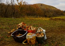 Родник у Раздорских склонов между Каныгиным и Раздорской