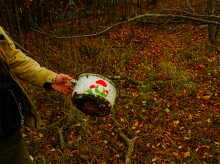 Родник у Раздорских склонов между Каныгиным и Раздорской