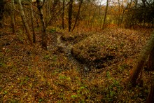 Родник у Раздорских склонов между Каныгиным и Раздорской