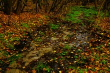 Родник у Раздорских склонов между Каныгиным и Раздорской