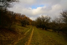 Родник у Раздорских склонов между Каныгиным и Раздорской
