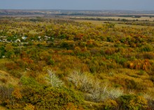 Осень на Сухом Донце
