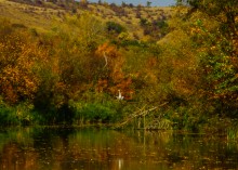 Осень на Сухом Донце