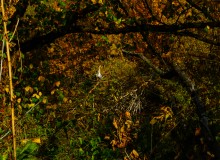 Осень на Сухом Донце