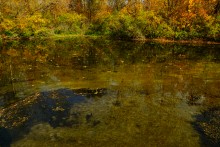 Осень на Сухом Донце