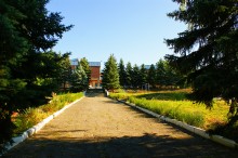 Одигитриевская церковь в Аграфеновке