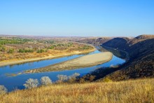Донские моллюски беззубка и перловица