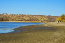 Донские моллюски беззубка и перловица