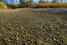 Донские моллюски беззубка и перловица