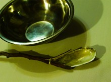 Донские моллюски беззубка и перловица