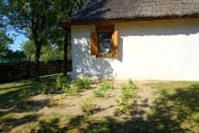 Дом Шолоховых в Каргинской