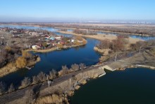 Чайки на льду