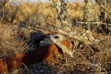Хутор Шмат и его уроженец Сергей Корольков