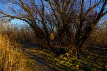 Хутор Шмат и его уроженец Сергей Корольков
