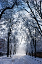 улица Оранжерейная на Сельмаше