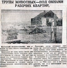 Ростовский скотомогильник