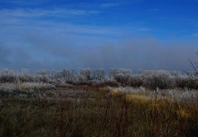 Декабрьский иней в старом саду