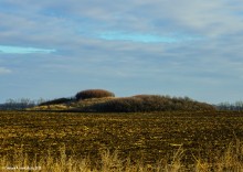 Курган в степи, это маленький заповедник