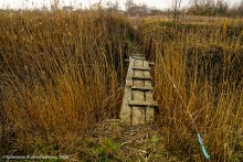 Взрыв порохового погреба в Черкасском городке в 1744 г.