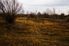 Взрыв порохового погреба в Черкасском городке в 1744 г.