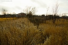 Взрыв порохового погреба в Черкасском городке в 1744 г.