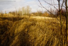 Взрыв порохового погреба в Черкасском городке в 1744 г.