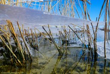 Лед висящий в воздухе, Зима на Дону