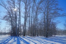 Лед висящий в воздухе, Зима на Дону