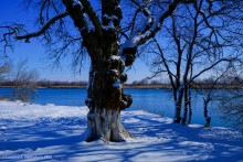 Монастырское урочище