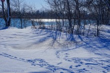 Монастырское урочище