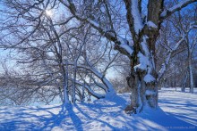 Монастырское урочище