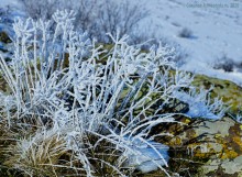 Скалы у хутора Дубового на реке Кундрючьей