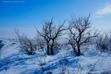 Скалы у хутора Дубового на реке Кундрючьей