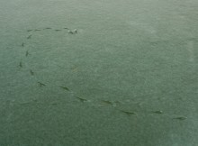 Февральский лед на Ростовском море