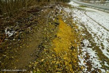 Мосты Ольгинской дамбы