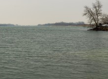 Дон в феврале