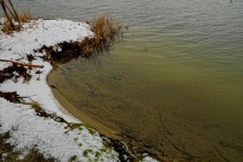 Дон в феврале