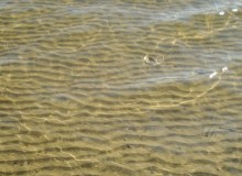 Донской песок