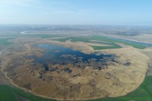 Птицы Монастырского озера