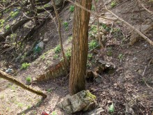 Завод гальванопокрытий Шмелева