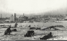 Элеватор на 29-й линии